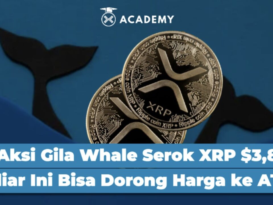 Aksi Gila Whale Serok XRP $3,8 Miliar Ini Bisa Dorong Harga ke ATH!