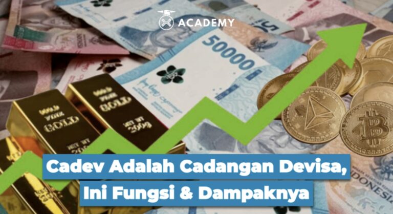 Cadev Adalah Cadangan Devisa, Ini Fungsi & Dampaknya