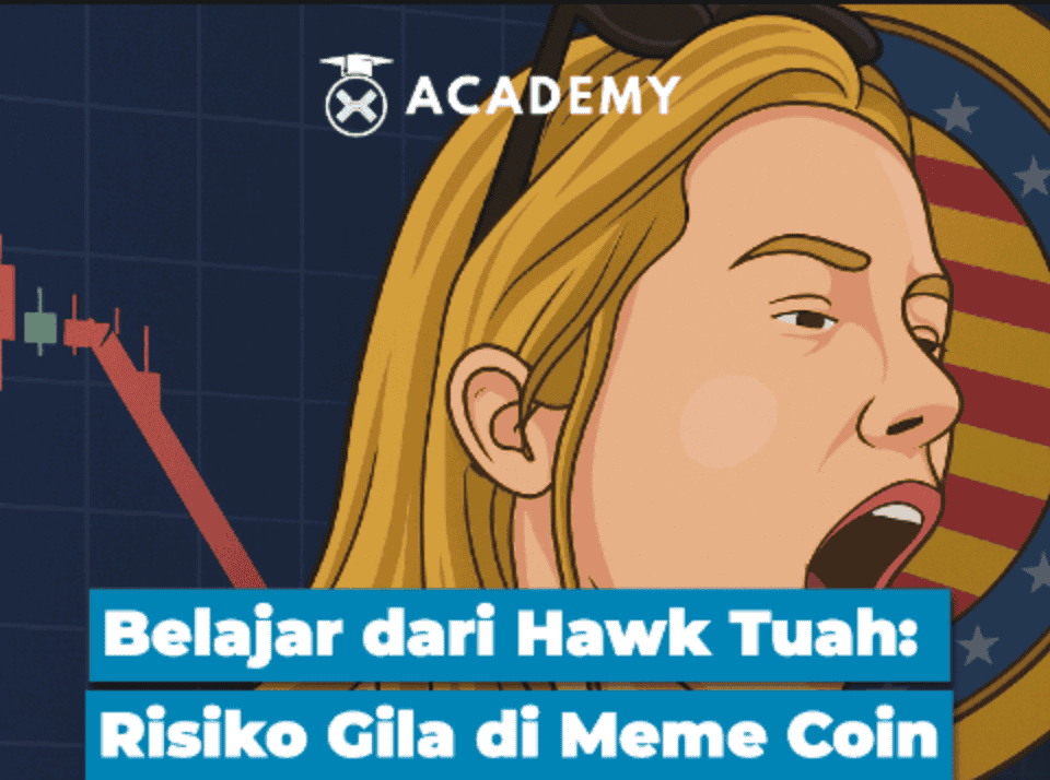 Belajar dari Hawk Tuah: Risiko Gila di Meme Coin