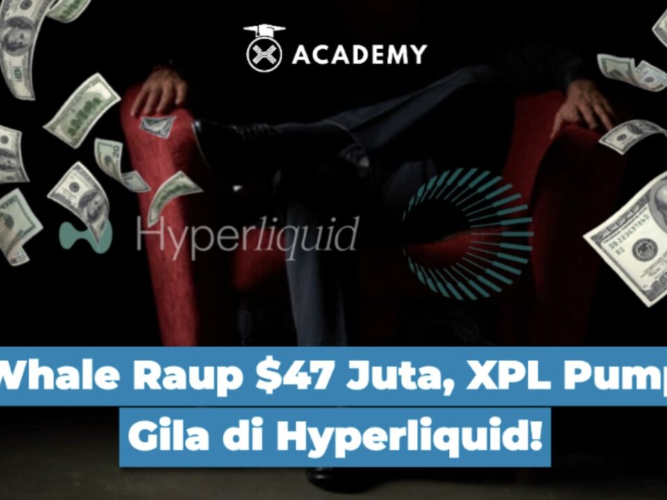 Whale Raup $47 Juta, XPL Pump Gila di Hyperliquid!