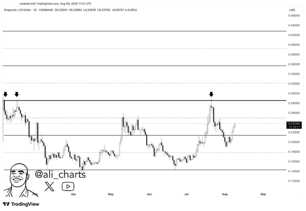 key DOGE price resistance key DOGE price resistance