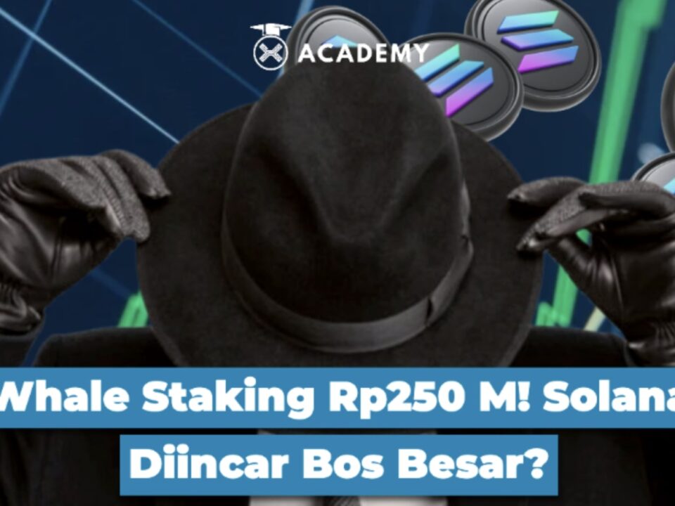 Whale Staking Rp250 Miliar! Solana Diincar Bos Besar?