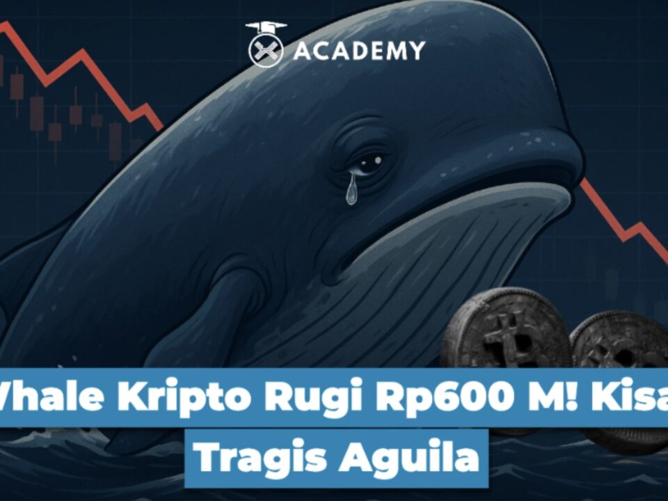 Whale Kripto Rugi Rp600 M! Kisah Tragis Aguila