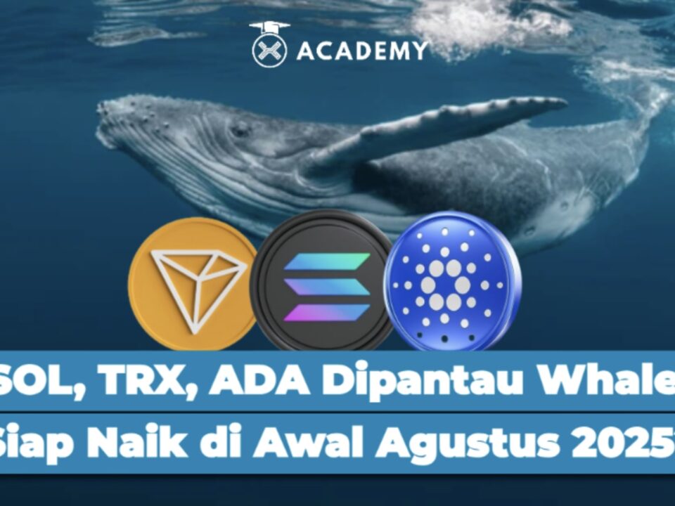 SOL, TRX, ADA Dipantau Whale! Siap Naik di Awal Agustus 2025?