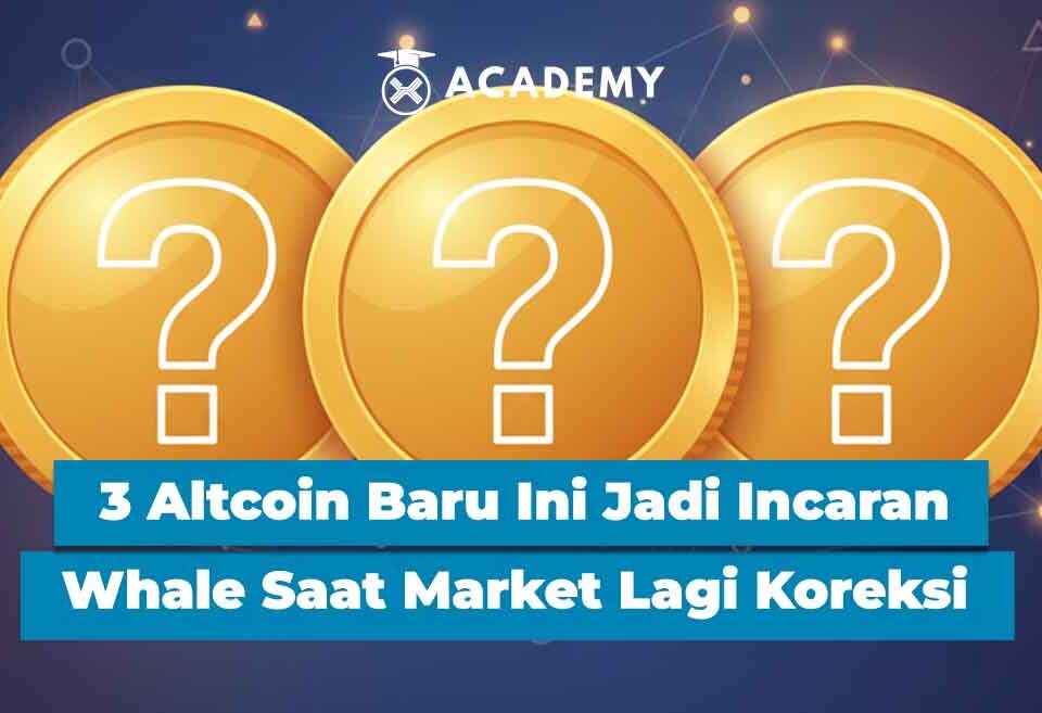 3 Altcoin Baru Ini Jadi Incaran Whale Saat Market Lagi Koreksi