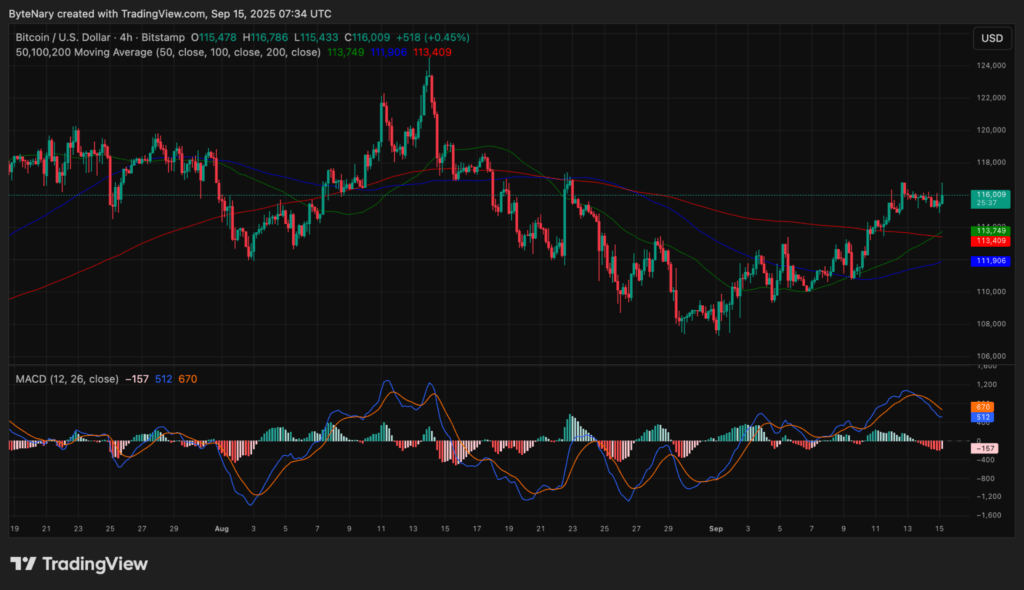 Analisis Bitcoin Analisis Bitcoin