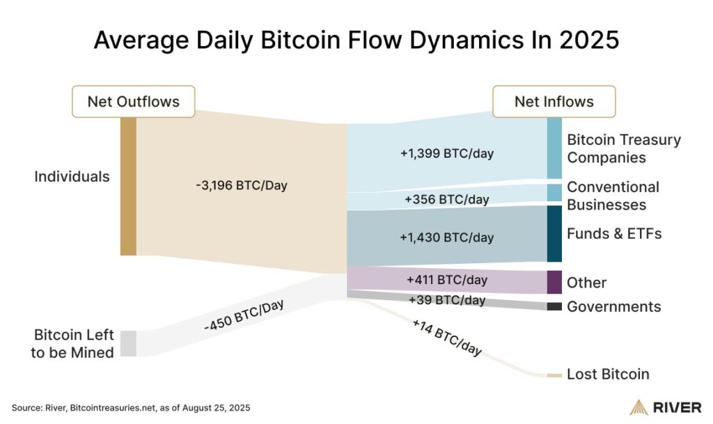 Bitcoin Flow