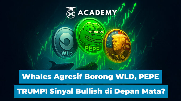 Whales Agresif Borong WLD, PEPE, TRUMP! Sinyal Bullish di Depan Mata?