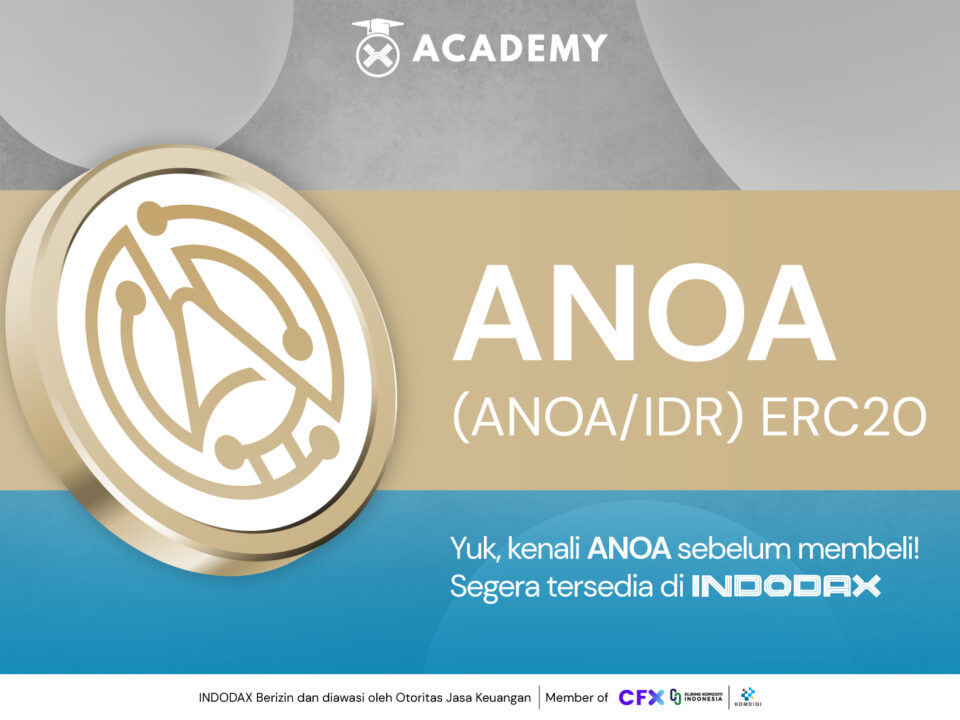 Image Article CST & ANOA Image Article ANOA936x530 ImageArtikel