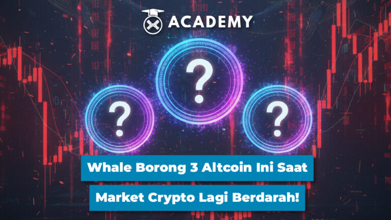 Whale Borong 3 Altcoin Ini Saat Market Crypto Lagi Berdarah!