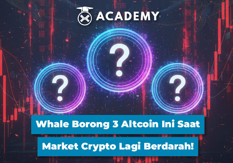 Whale Borong 3 Altcoin Ini Saat Market Crypto Lagi Berdarah!