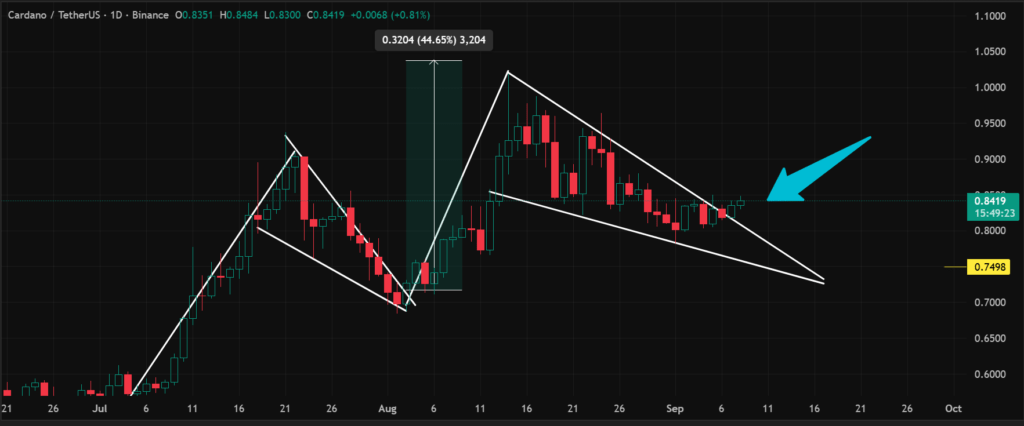 Pola Bull Pennant Cardano Pola Bull Pennant Cardano