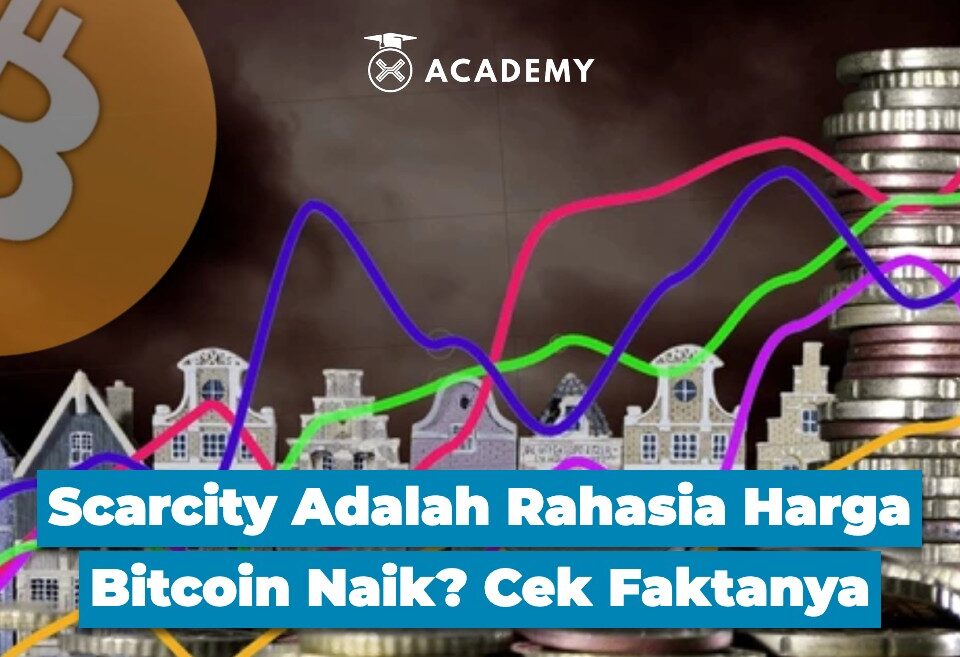 Scarcity Adalah Rahasia Harga Bitcoin Naik? Cek Faktanya
