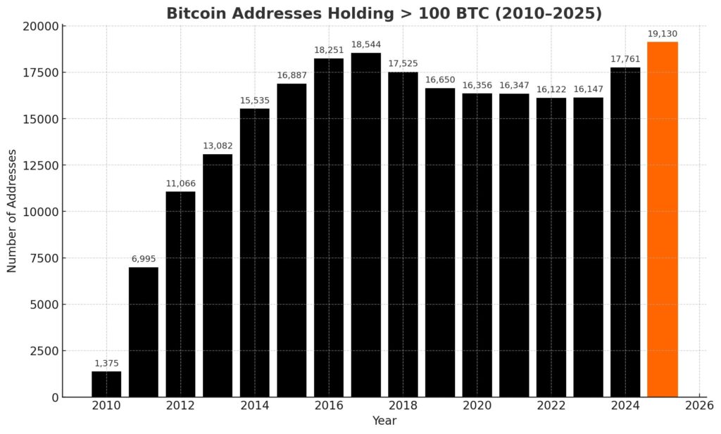 Whale BTC Whale BTC