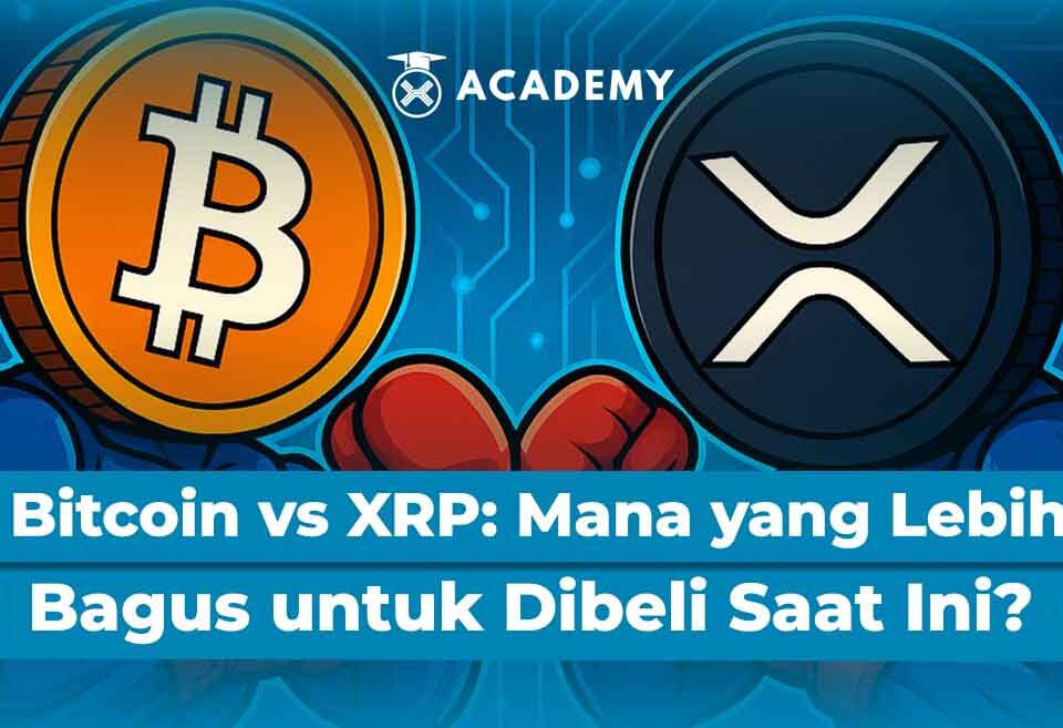 Bitcoin vs XRP: Mana yang Lebih Bagus untuk Dibeli Saat Ini?
