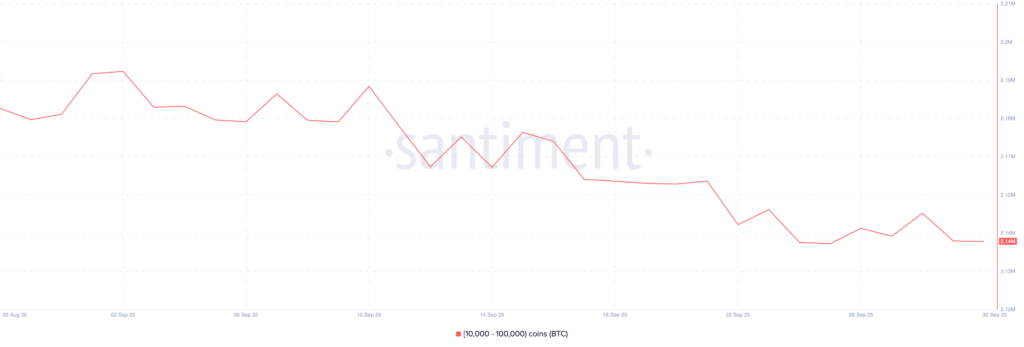 BTC Whale BTC Whale
