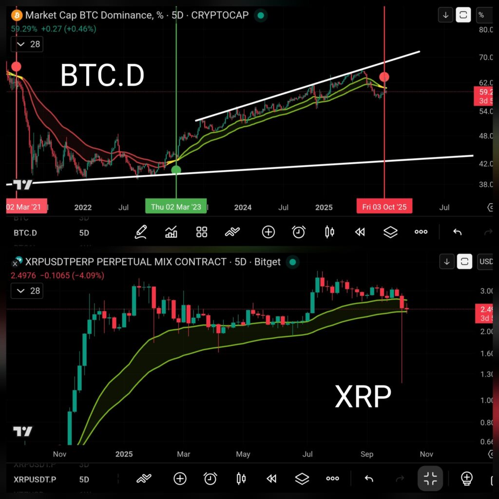 BTCD dan XRP BTCD dan XRP