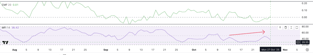 CMF & MFI LINK CMF & MFI LINK