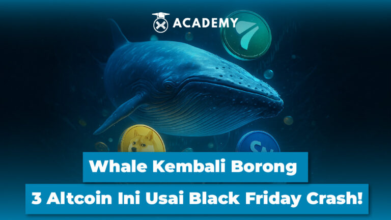 Whale Kembali Borong 3 Altcoin Ini Usai Black Friday Crash!