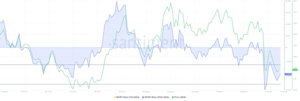 Cardano MVRV Cardano MVRV