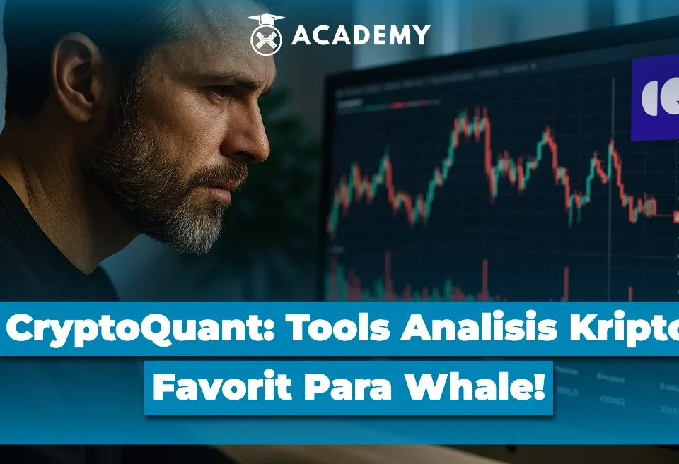 CryptoQuant Tools Analisis Kripto Favorit Para Whale!