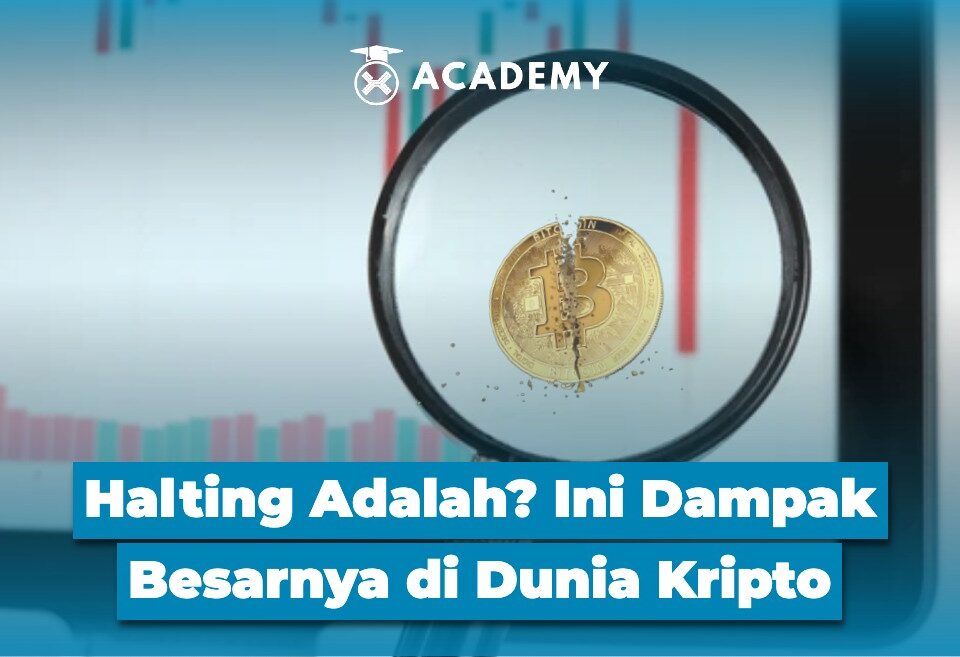 Halting Adalah? Ini Dampak Besarnya di Dunia Kripto