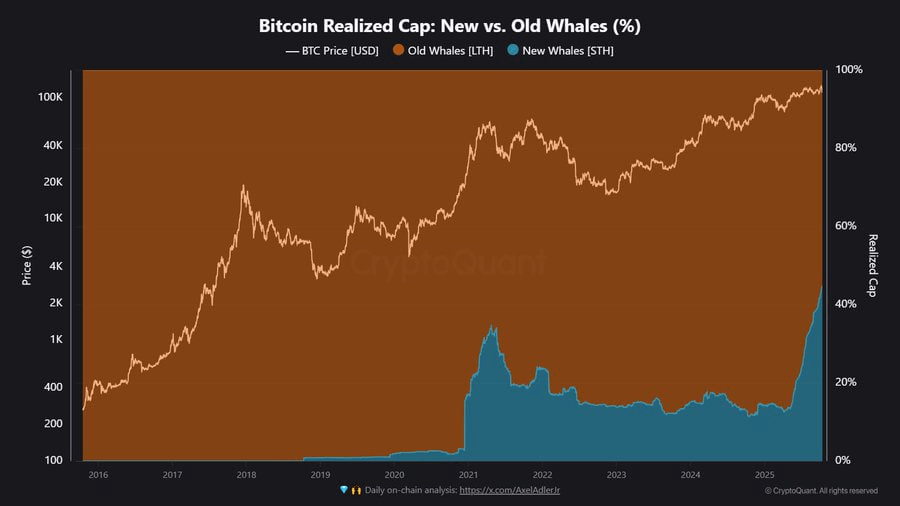 New vs Old Whale BTC New vs Old Whale BTC