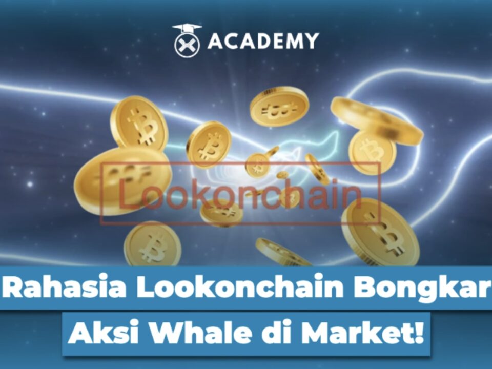 Rahasia Lookonchain Bongkar Aksi Whale di Market!