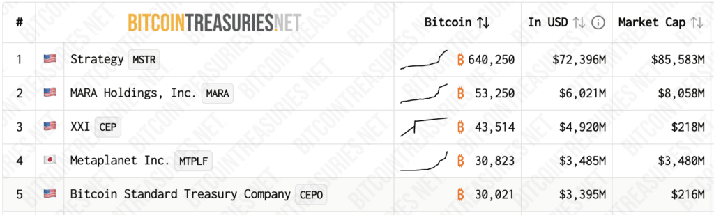 Top 5 Public Bitcoin Treasury Companies Top 5 Public Bitcoin Treasury Companies