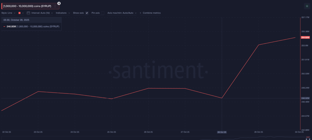 Syrup Whale Syrup Whale