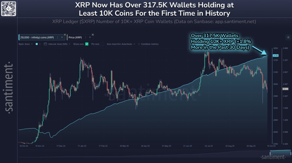 Wallet XRP Wallet XRP