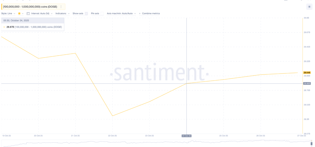 Whale Doge Whale Doge