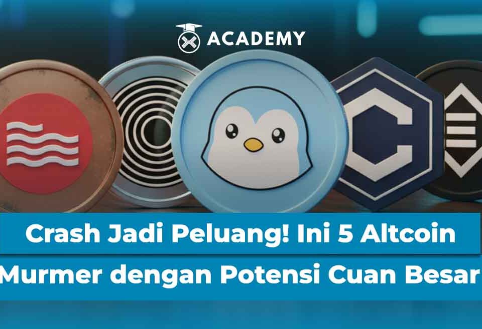 Crash Jadi Peluang! Ini 5 Altcoin Murmer dengan Potensi Cuan Besar