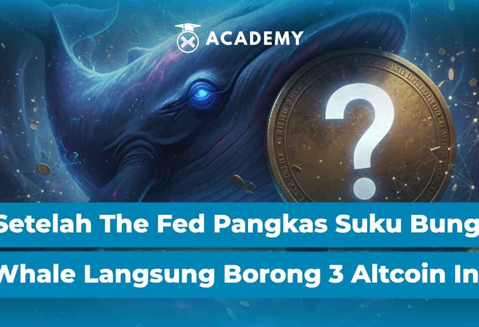 Setelah The Fed Pangkas Suku Bunga, Whale Langsung Borong 3 Altcoin Ini!
