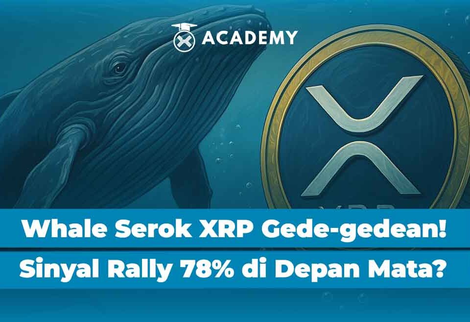 Whale Kembali Serok XRP Gede-gedean! Sinyal Rally 80% Sudah di Depan Mata?