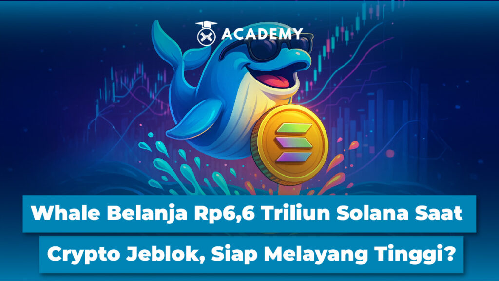 Whale Belanja Rp6,6 Triliun Solana Saat Crypto Jeblok, Siap Melayang Tinggi?