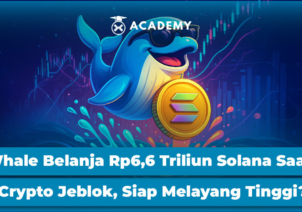 Whale Belanja Rp6,6 Triliun Solana Saat Crypto Jeblok, Siap Melayang Tinggi?