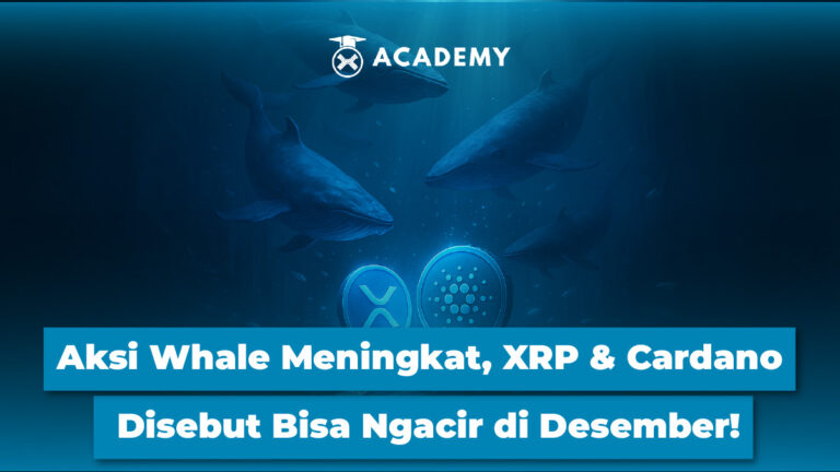 Aksi Whale Meningkat, XRP & Cardano Disebut Bisa Ngacir di Desember!