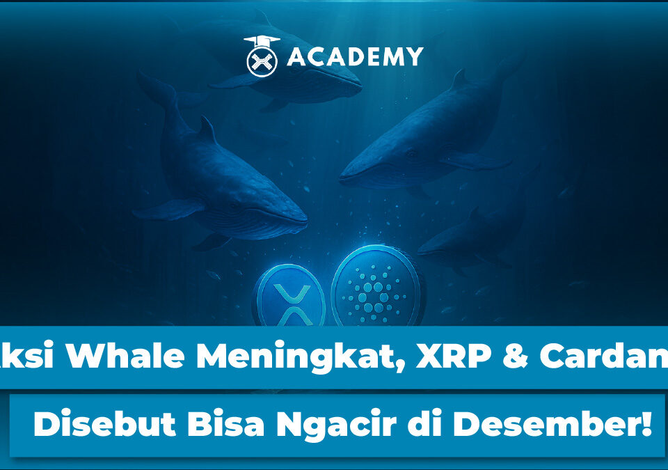 Aksi Whale Meningkat, XRP & Cardano Disebut Bisa Ngacir di Desember!