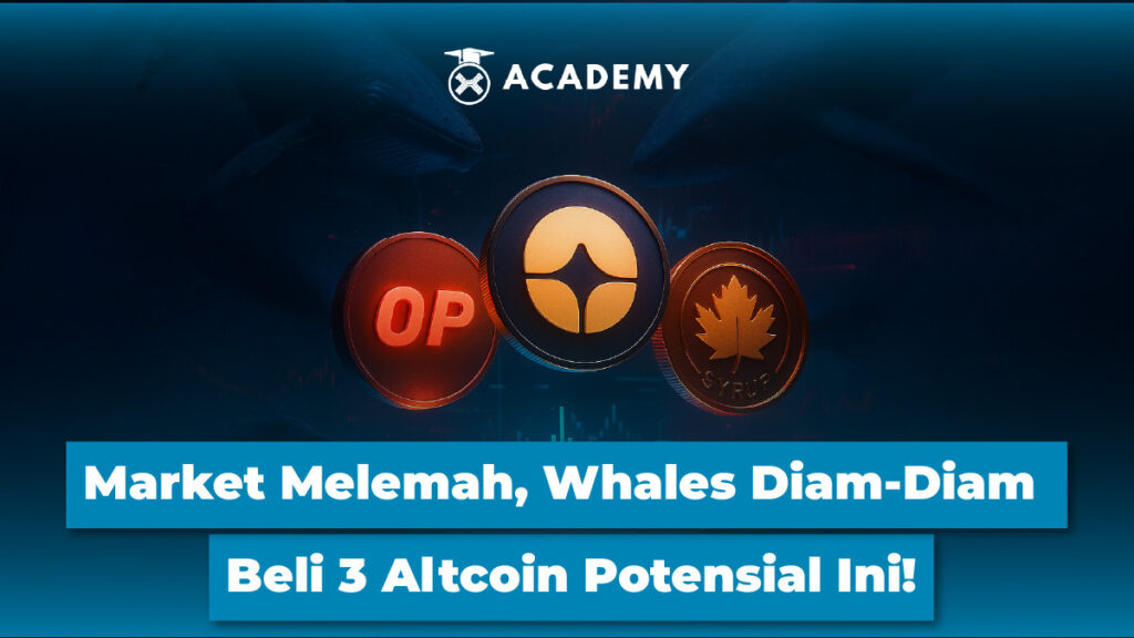 Market Melemah, Whales Diam-Diam Beli 3 Altcoin Potensial Ini!
