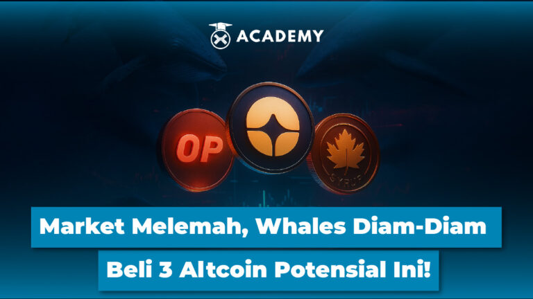 Market Melemah, Whales Diam-Diam Beli 3 Altcoin Potensial Ini!