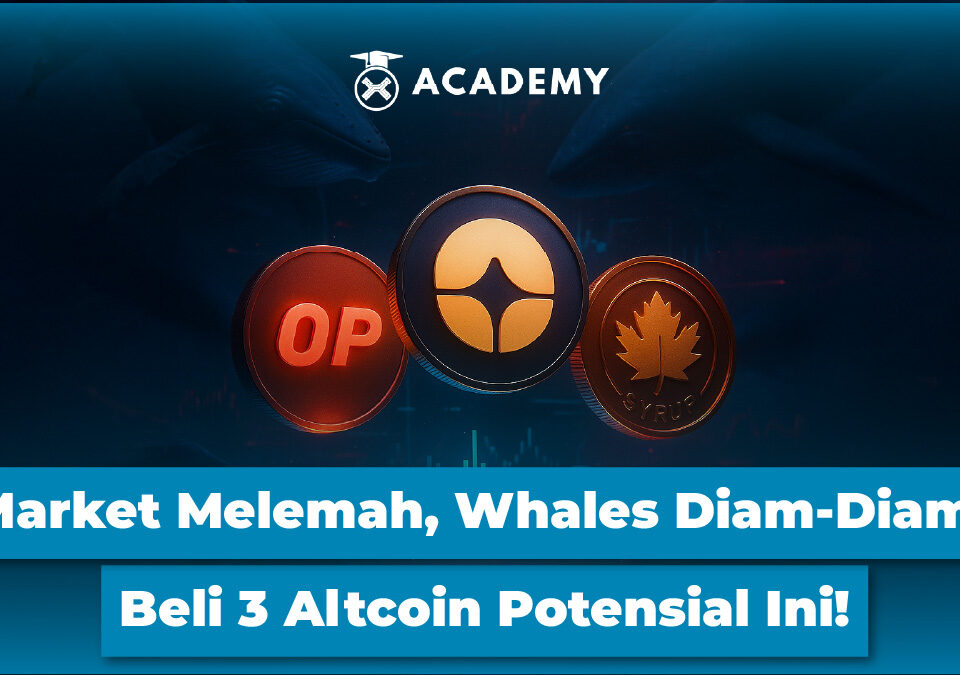 Market Melemah, Whales Diam-Diam Beli 3 Altcoin Potensial Ini!