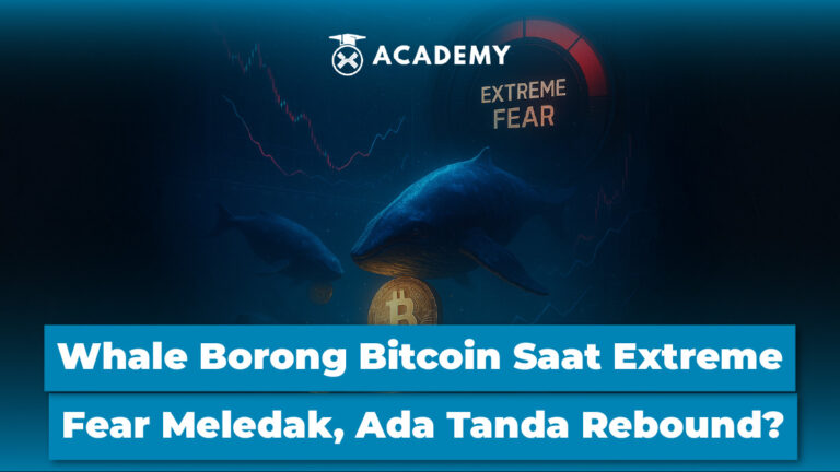 Whale Borong Bitcoin Saat Extreme Fear Meledak, Ada Tanda Rebound?