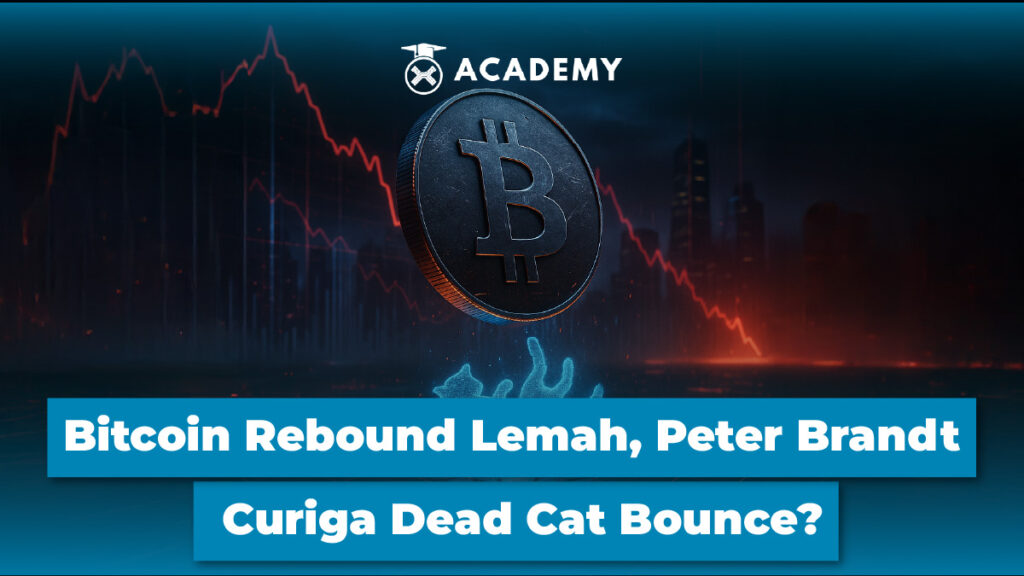 Bitcoin (BTC) Rebound Lemah, Peter Brandt Curiga Dead Cat Bounce?