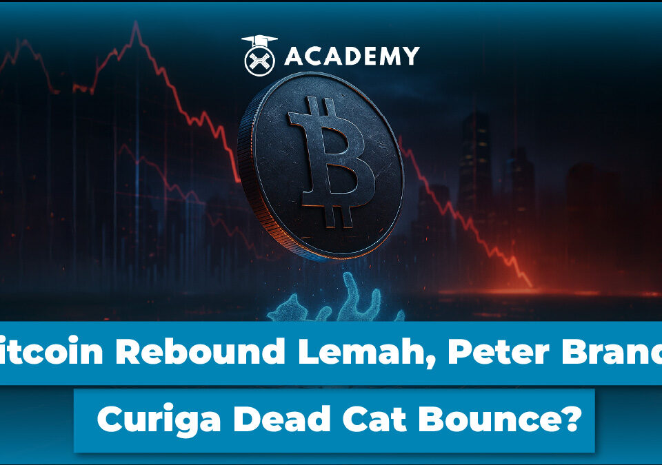 Bitcoin (BTC) Rebound Lemah, Peter Brandt Curiga Dead Cat Bounce?