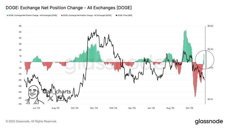 DOGE Exchange Net Position DOGE Exchange Net Position