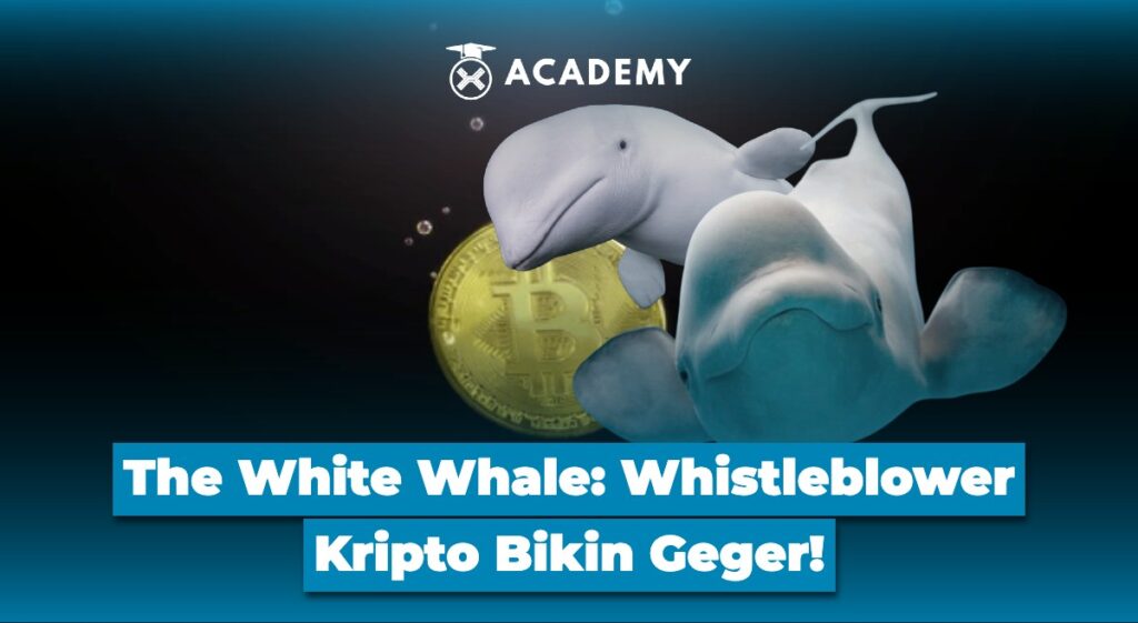 The White Whale Whistleblower Kripto Bikin Geger!