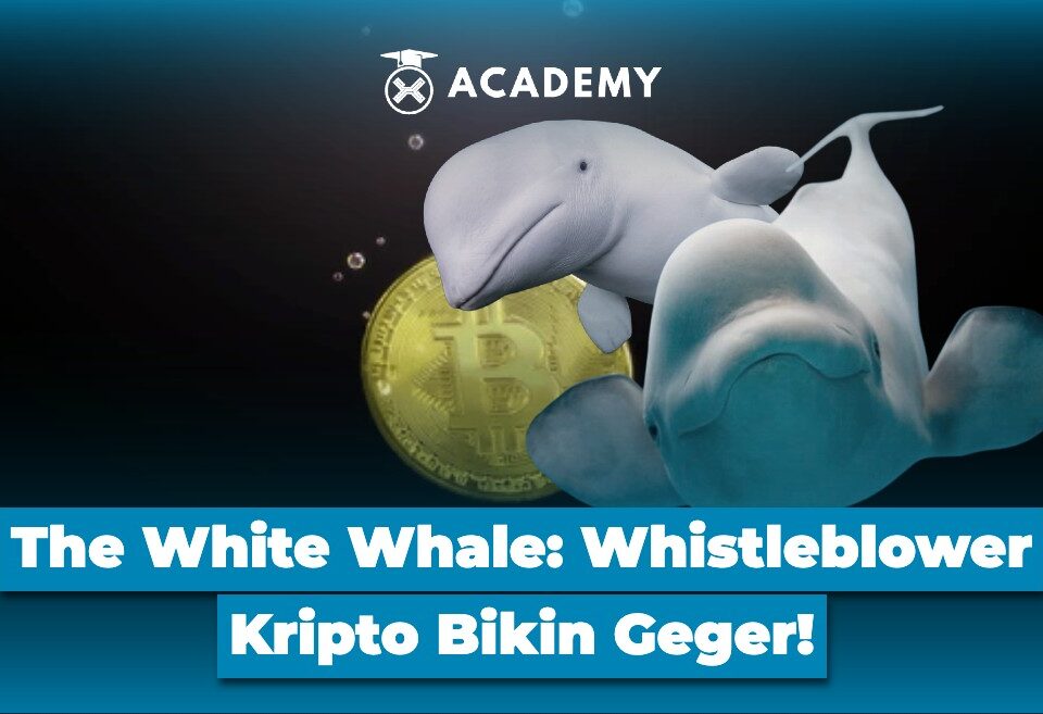 The White Whale Whistleblower Kripto Bikin Geger!