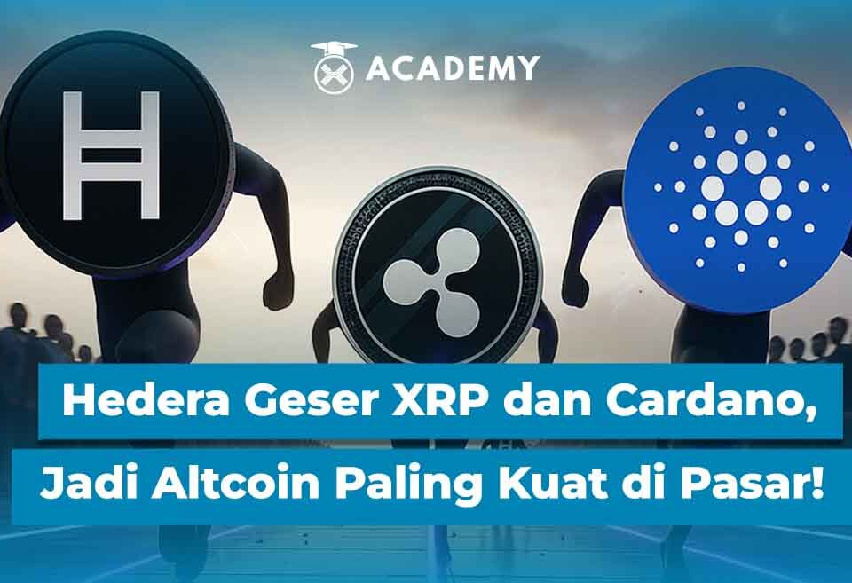 Hedera Geser XRP dan Cardano, Jadi Altcoin Paling Kuat di Pasar!