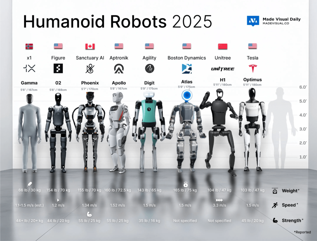 humaoid robot
